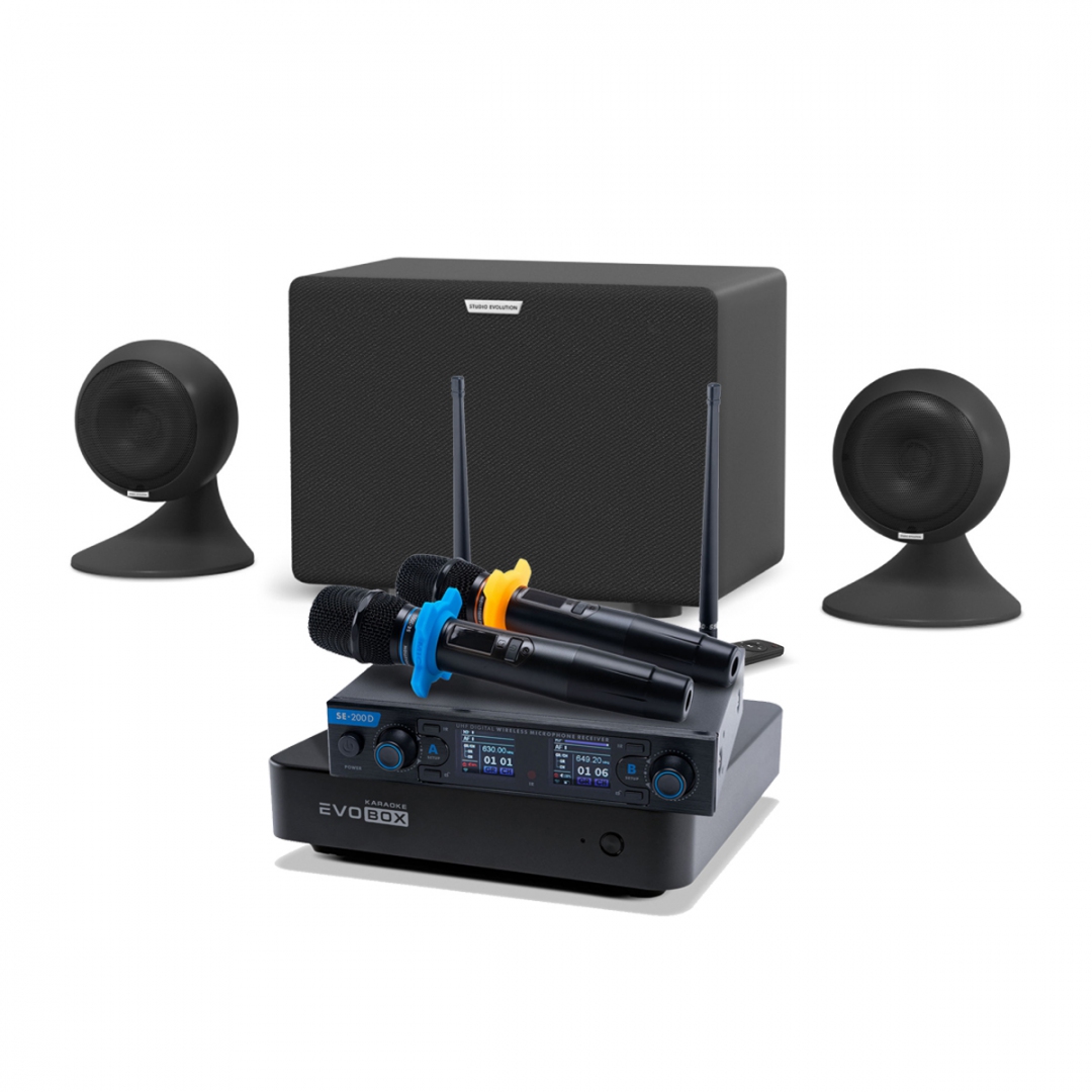 караоке-комплект EVOBOX + EvoSound Sphere 2.1 в Зеленодольске