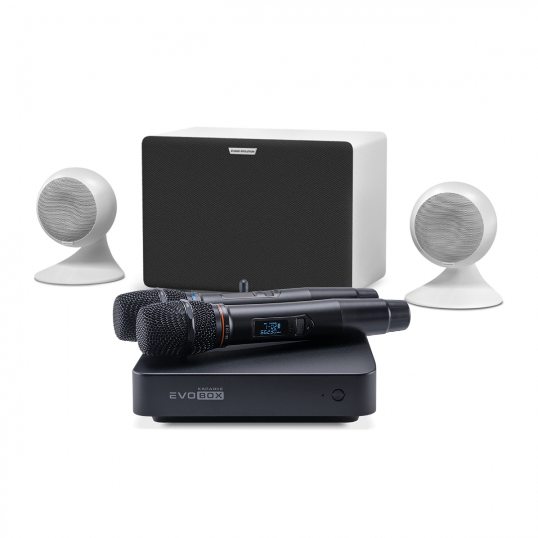 караоке-комплект EVOBOX Classic + EvoSound Sphere 2.1 в Зеленодольске