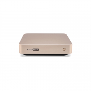 EVOBOX с микрофонами в Зеленодольске